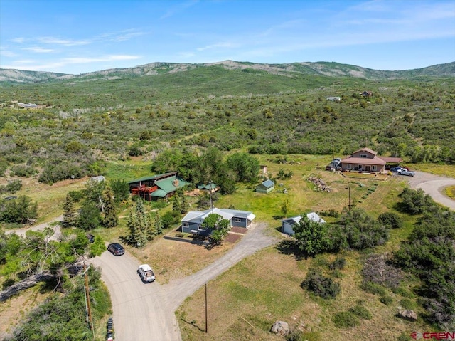 21932 2225th Rd, Cedaredge, CO 81413 - aerial view of property's location featuring a mountain backdrop