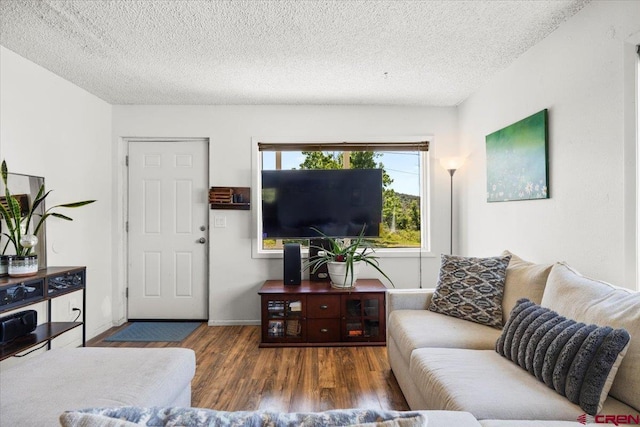 21932 2225th Rd, Cedaredge, CO 81413 - living room featuring wood finished floors and a textured ceiling