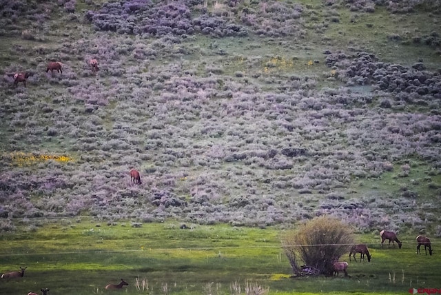 000 US Highway 50, Gunnison, CO 81230