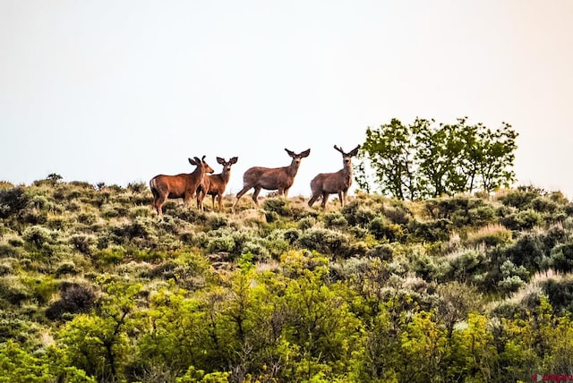 000 US Highway 50, Gunnison, CO 81230