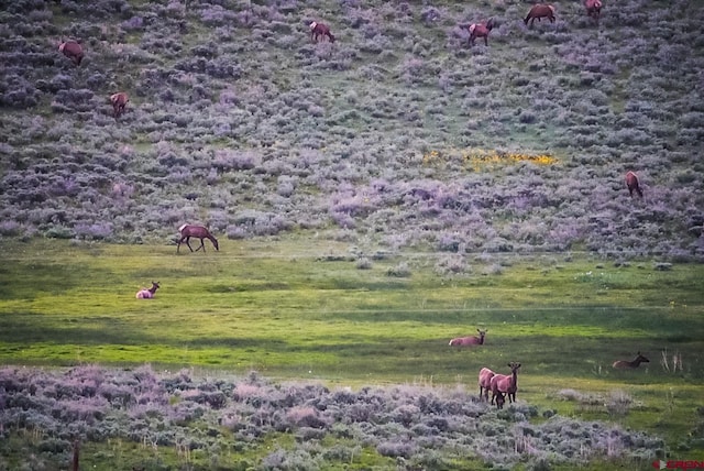 000 US Highway 50, Gunnison, CO 81230