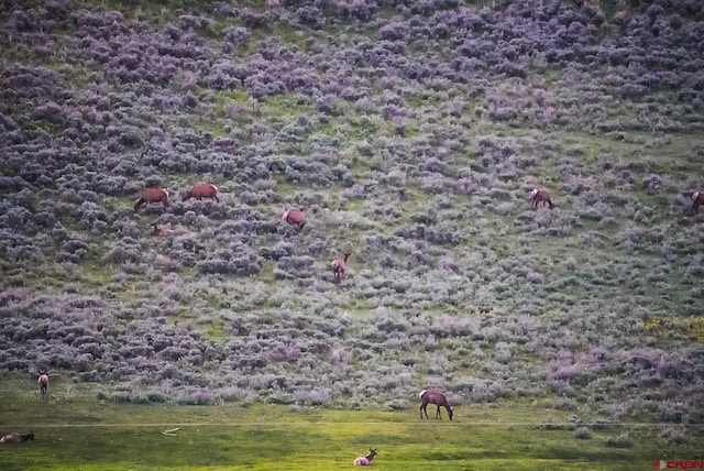 000 US Highway 50, Gunnison, CO 81230