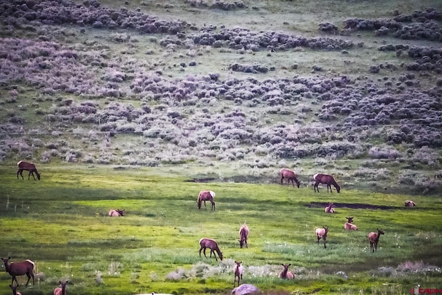 000 US Highway 50, Gunnison, CO 81230