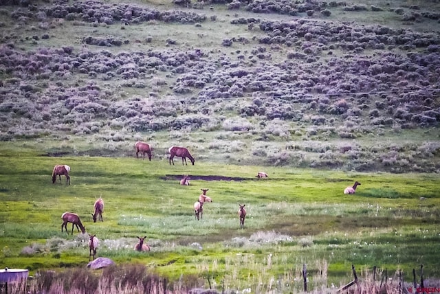 000 US Highway 50, Gunnison, CO 81230