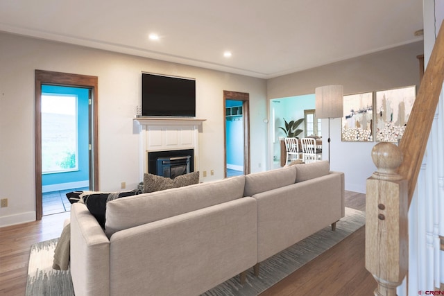 825 County Road 17, Gunnison, CO 81230 - living area with a glass covered fireplace, wood finished floors, and recessed lighting