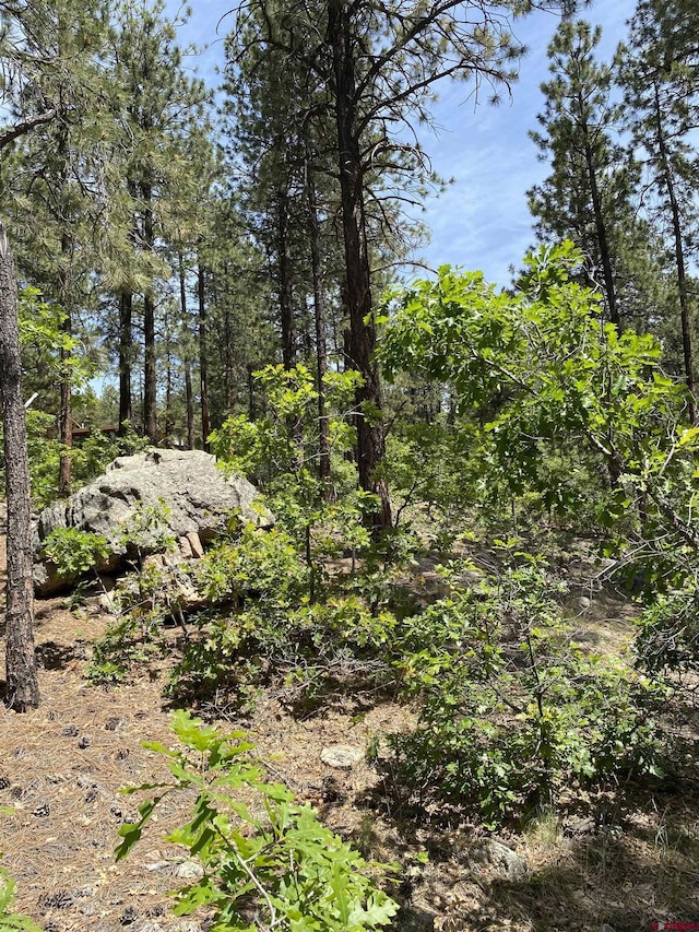163 Boulder View Dr, Durango, CO 81301