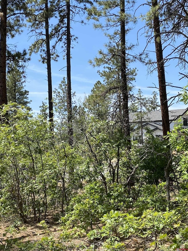 163 Boulder View Dr, Durango, CO 81301
