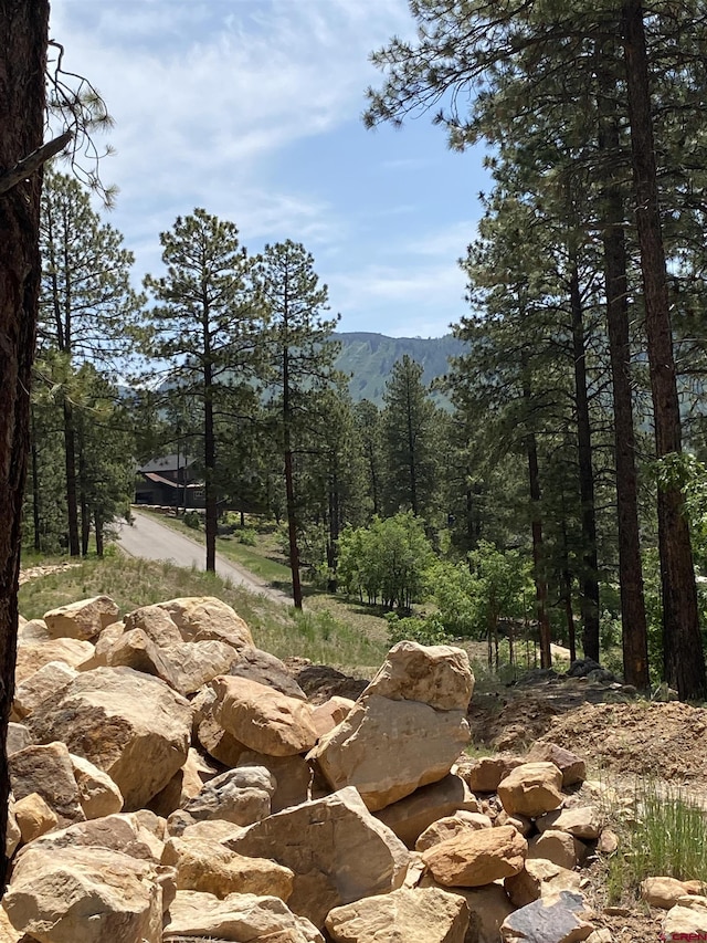 163 Boulder View Dr, Durango, CO 81301