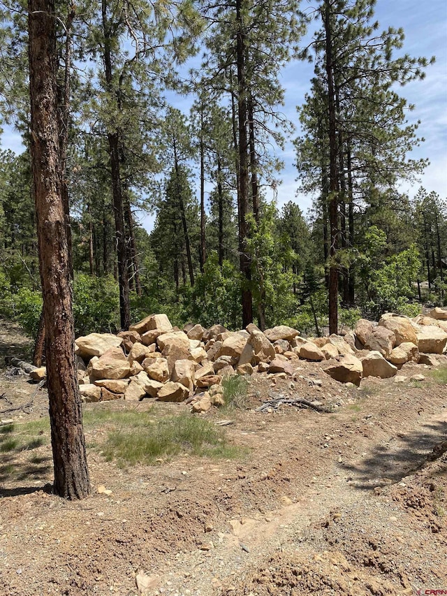 163 Boulder View Dr, Durango, CO 81301