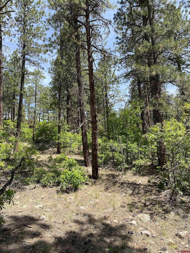163 Boulder View Dr, Durango, CO 81301