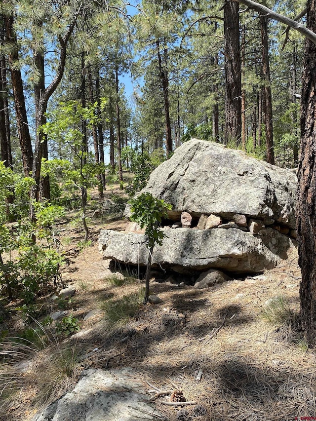 163 Boulder View Dr, Durango, CO 81301