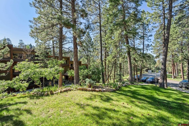 73 S Tamarron Dr Unit 822, Durango, CO 81301 - view of green lawn