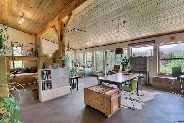 16242 Farmers Mine Rd, Paonia, CO 81428 - dining room featuring concrete floors, plenty of natural light, wood ceiling, and lofted ceiling