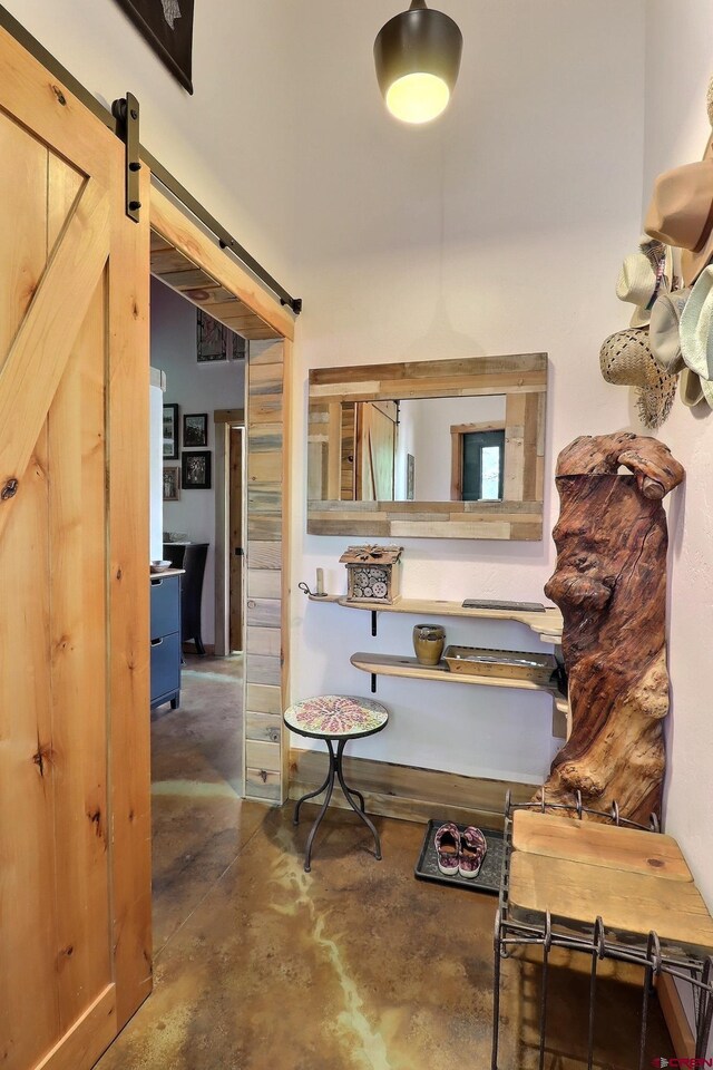 16242 Farmers Mine Rd, Paonia, CO 81428 - hall with a barn door and concrete flooring