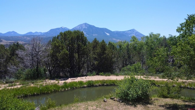 16242 Farmers Mine Rd, Paonia, CO 81428 - view of mountain backdrop featuring a heavily wooded area