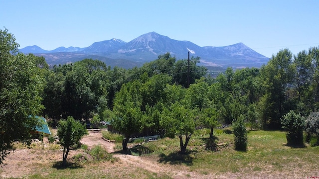 16242 Farmers Mine Rd, Paonia, CO 81428 - mountain view