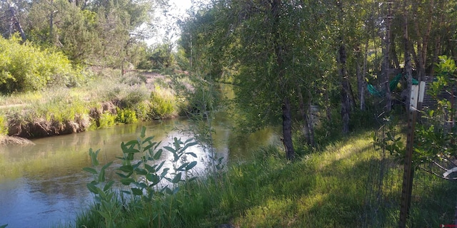 16242 Farmers Mine Rd, Paonia, CO 81428 - water view