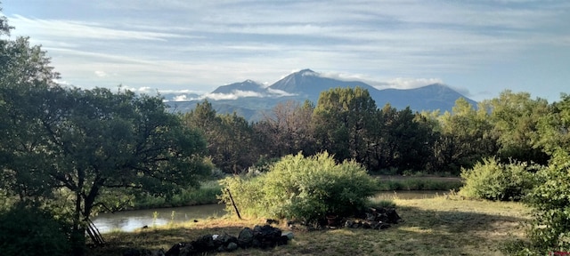 16242 Farmers Mine Rd, Paonia, CO 81428 - view of mountain backdrop featuring a forest and a nearby body of water