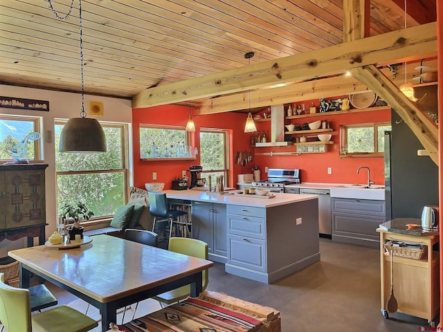 16242 Farmers Mine Rd, Paonia, CO 81428 - kitchen featuring appliances with stainless steel finishes, gray cabinets, a peninsula, wood ceiling, and light countertops