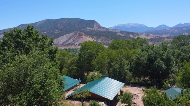 16242 Farmers Mine Rd, Paonia, CO 81428 - mountain view