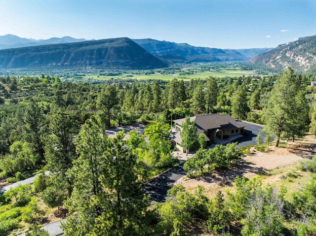 570 Jenkins Ranch Rd, Durango, CO 81301 - view from above of property with a mountain backdrop