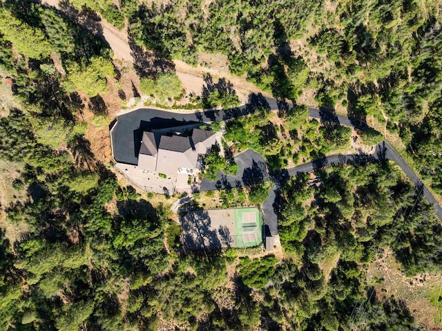 570 Jenkins Ranch Rd, Durango, CO 81301 - aerial view of property and surrounding area