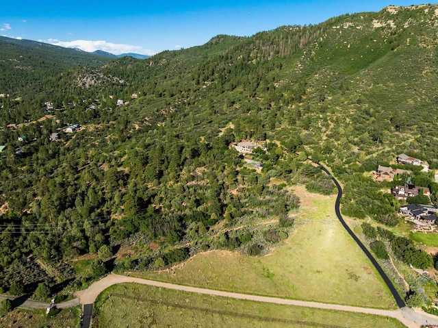 570 Jenkins Ranch Rd, Durango, CO 81301 - view of property location featuring mountains and a heavily wooded area