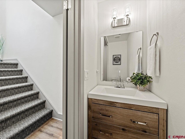 1254 Champ Ln, Ouray, CO 81427 - bathroom featuring vanity and wood finished floors