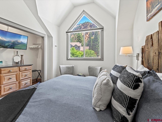 1254 Champ Ln, Ouray, CO 81427 - bedroom with lofted ceiling