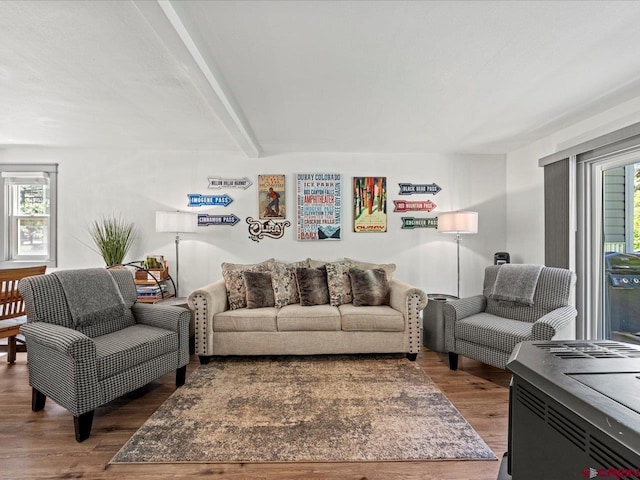 1254 Champ Ln, Ouray, CO 81427 - living area with wood finished floors and beam ceiling