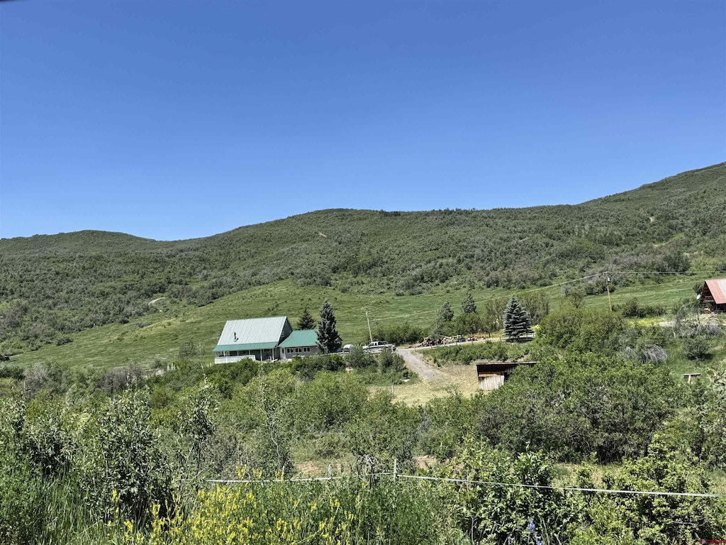 19253 Stevens Gulch Rd, Paonia, CO 81428 - view of mountain backdrop