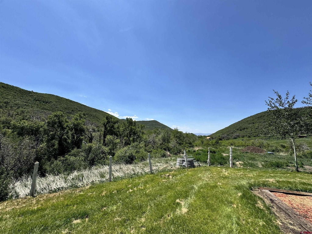 19253 Stevens Gulch Rd, Paonia, CO 81428 - view of mountain backdrop with rural landscape