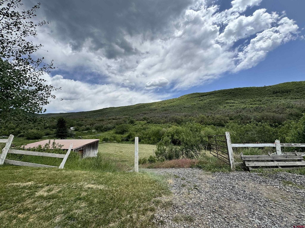 19253 Stevens Gulch Rd, Paonia, CO 81428 - view of yard with a wooded view