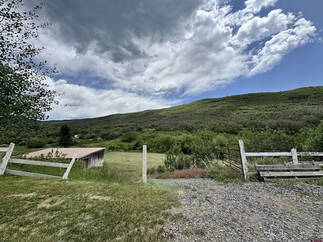 19253 Stevens Gulch Rd, Paonia, CO 81428 - view of yard with a wooded view