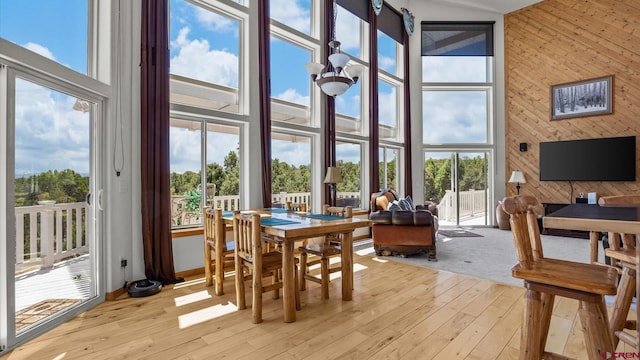61850 V62 Trl, Montrose, CO 81403 - sunroom featuring healthy amount of natural light