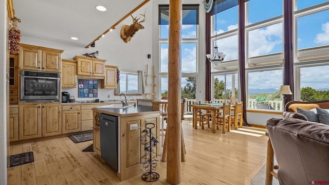 61850 V62 Trl, Montrose, CO 81403 - kitchen featuring black appliances, plenty of natural light, light brown cabinetry, light wood-type flooring, and recessed lighting