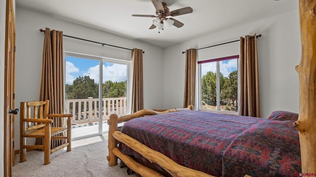 61850 V62 Trl, Montrose, CO 81403 - bedroom featuring access to exterior, multiple windows, carpet floors, and a ceiling fan