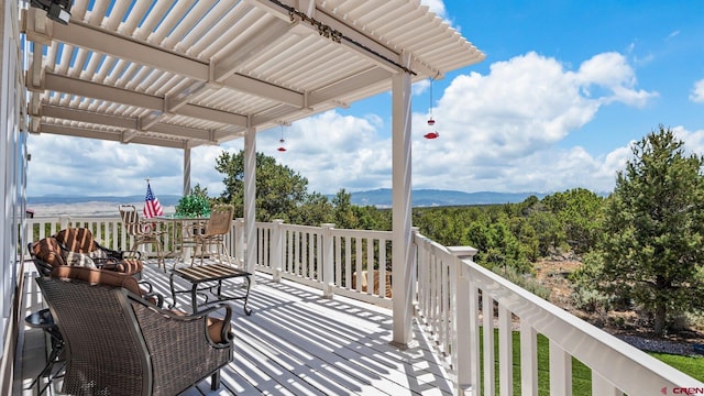 61850 V62 Trl, Montrose, CO 81403 - view of deck