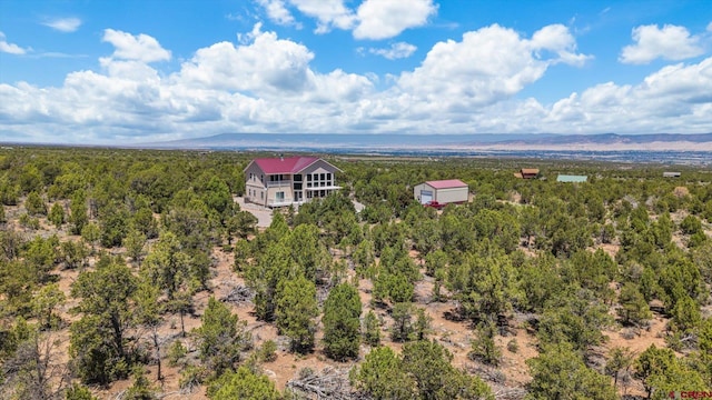 61850 V62 Trl, Montrose, CO 81403 - drone / aerial view of a heavily wooded area and mountains