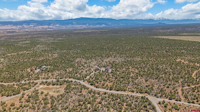 61850 V62 Trl, Montrose, CO 81403 - bird's eye view of a mountainous background