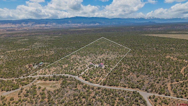 61850 V62 Trl, Montrose, CO 81403 - aerial overview of property's location with a mountain backdrop and property boundaries highlighted