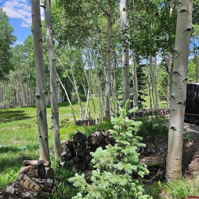 1255 Spruce Rd, Cimarron, CO 81220