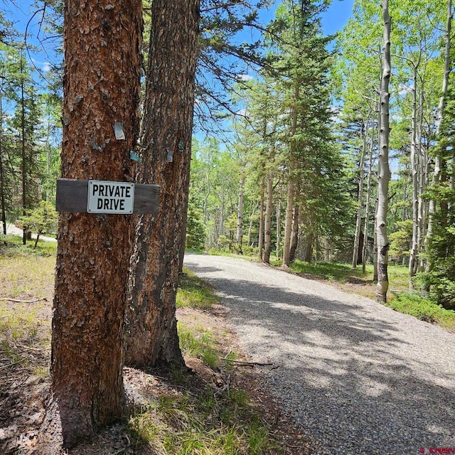 1255 Spruce Rd, Cimarron, CO 81220
