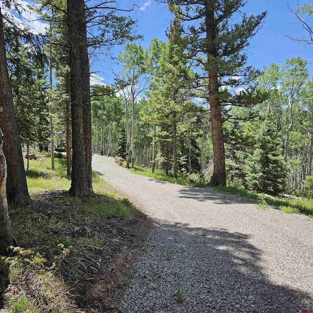 1255 Spruce Rd, Cimarron, CO 81220