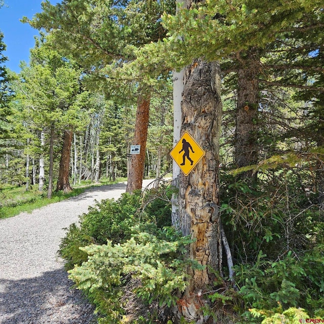1255 Spruce Rd, Cimarron, CO 81220