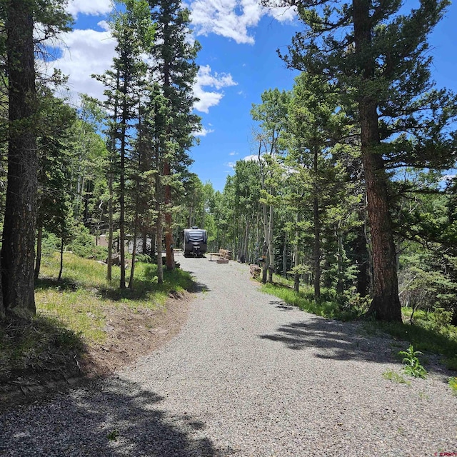 1255 Spruce Rd, Cimarron, CO 81220