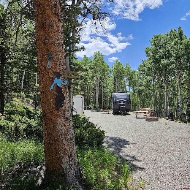 1255 Spruce Rd, Cimarron, CO 81220