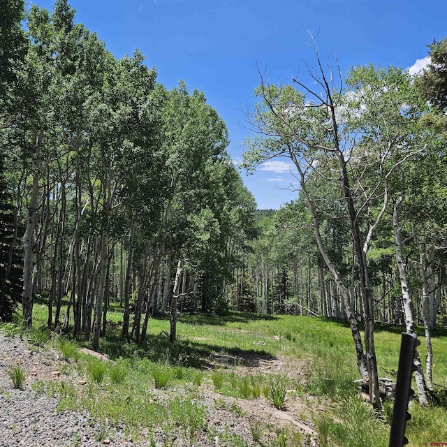 1255 Spruce Rd, Cimarron, CO 81220