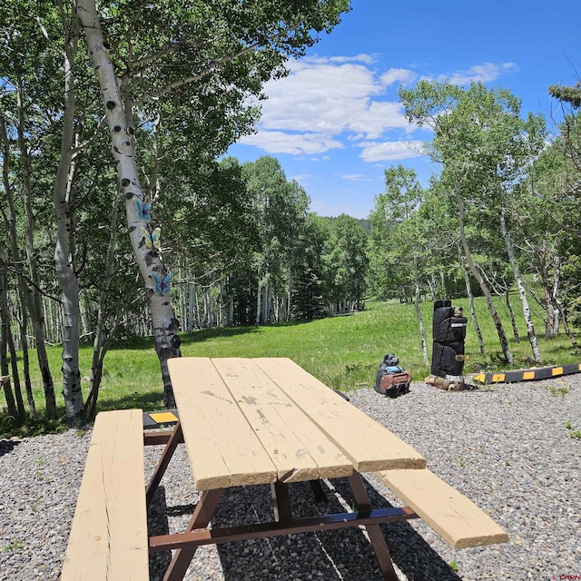 1255 Spruce Rd, Cimarron, CO 81220