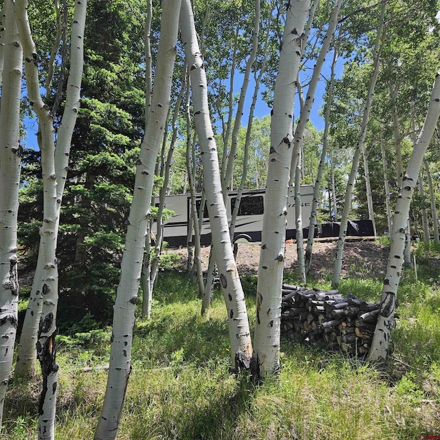 1255 Spruce Rd, Cimarron, CO 81220